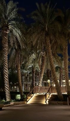 palm trees and stairs lit up at night