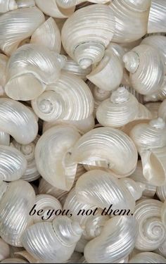 sea shells with the words be you not then