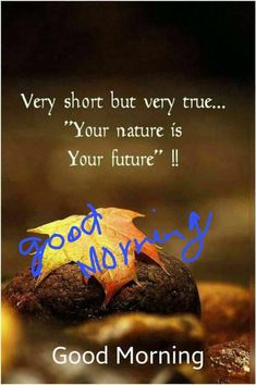 a leaf sitting on top of a rock with the words good morning