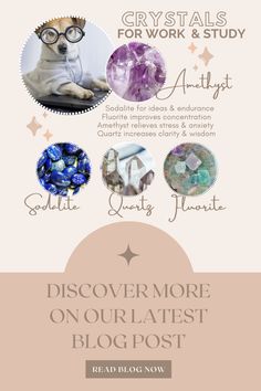 Need help with studies? Find out the best crystals to use. Organize your study space with crystals that help create an atmosphere of calm and focus. Your goals and path to achieving them will be crystal clear in no time! Crystals For Work, Study Hours, Work And Study, Study Organization, Trust Your Instincts, Improve Concentration, Good Motivation, Witchy Things