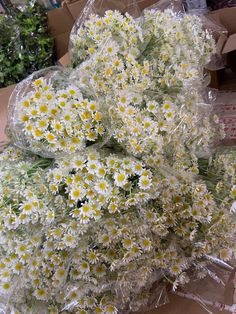 a bunch of daisies are wrapped in plastic and sitting on the ground next to boxes