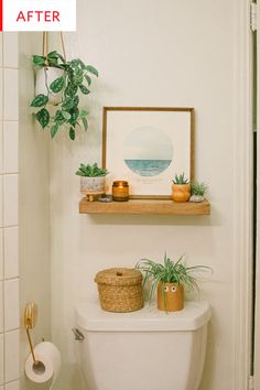 a white toilet sitting next to a wooden shelf filled with plants and potted plants