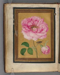 two framed pictures with pink flowers on them, one is holding a green leaf and the other has a brown frame