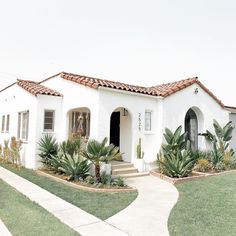 a white house with plants in front of it and grass around the entrance to the building