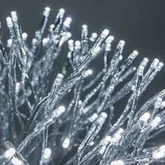 close up view of the branches of a tree with lights on it