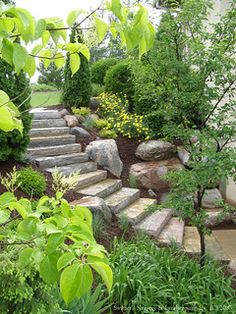 a garden with stone steps and trees