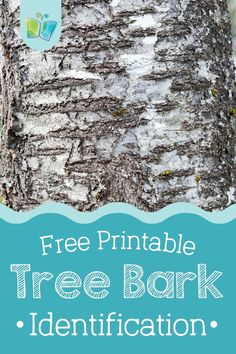 a tree bark identification sticker with the words free printable tree bark identification on it