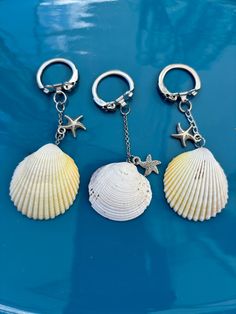 three seashells with starfish and key chains on a blue car hood ornament