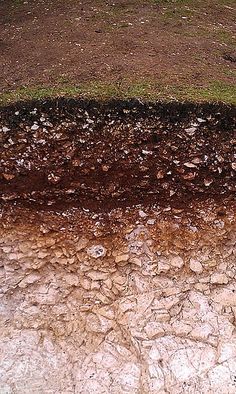 a red fire hydrant sitting on top of a patch of dirt next to a field