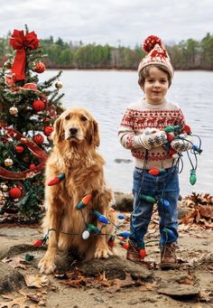 a little boy standing next to a golden retriever near a christmas tree with lights