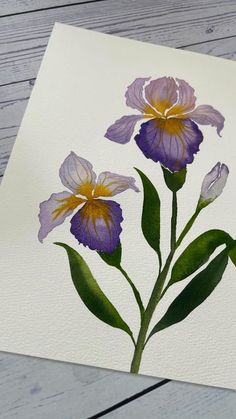 two purple and yellow flowers on white paper