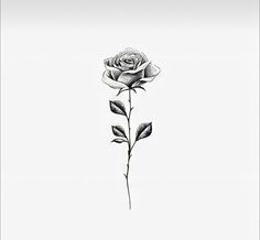 a drawing of a single rose on a white background greeting card by awel art