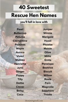 40 Cute Chicken Names for Rescued Hens. Want a funny and cute chicken name for your new chicks and hens? Here are 40 popular names for rescued hens, perfect for your new pet and farm animal! Tap to see the full list of hen names. Cute animal names Backyard Chicken Coop Plans