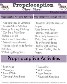 Proprioception Cheat Sheet-Sensory Processing Explained. Repinned by SOS Inc. Resources pinterest.com/sostherapy/. Proprioceptive Activities, Proprioceptive Input, Sensory Disorder, Sensory Therapy, Sensory Motor, Sensory Diet, Occupational Therapy Activities, To Do List Printable, Pediatric Occupational Therapy