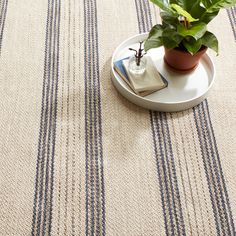 a potted plant sitting on top of a white plate next to a blue striped rug