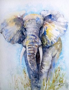 an elephant painted in watercolor on paper