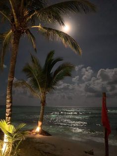 a full moon is seen over the ocean with palm trees