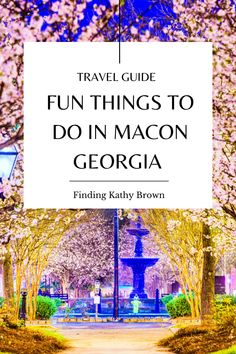 the words travel guide fun things to do in macon, georgia on top of a photo