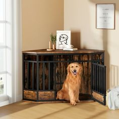 a golden retriever sitting in front of a dog gate