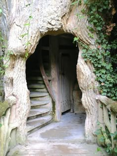 an entrance to a cave with stairs and vines growing on the walls, in front of a wooden door