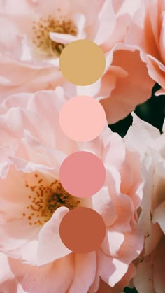 some pink flowers with gold circles on them