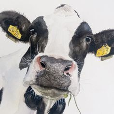 a painting of a black and white cow with tags on its ears