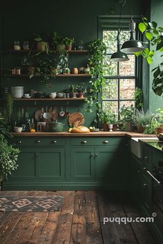 a kitchen with green cabinets and lots of potted plants on the counter top, along with wooden flooring