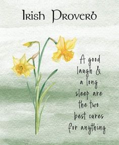 an irish prove with daffodils in the foreground and words above it