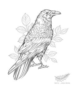 a black and white drawing of a bird sitting on a branch with leaves around it