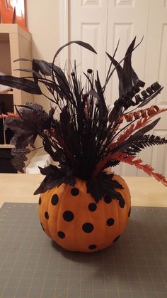 a pumpkin decorated with black and orange feathers