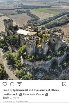 an aerial view of a castle surrounded by trees