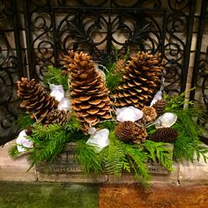 some pine cones and white flowers in a vase