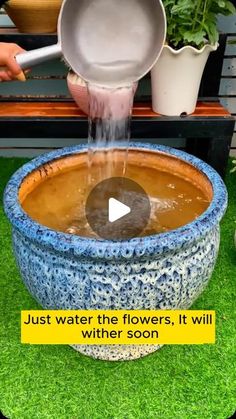 someone is pouring water into a potted planter with the words just water the flowers, it will wilt soon