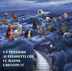 there are many dogs sitting on the stairs in the clouds and one dog is looking up