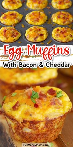 egg muffins with bacon and cheddar on top