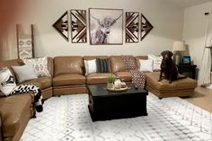 a living room filled with furniture and a dog sitting on top of a coffee table