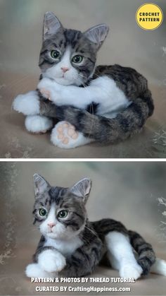 two pictures of a cat laying down on the ground with their paws in the air