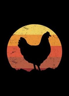 a chicken standing in front of a sunset