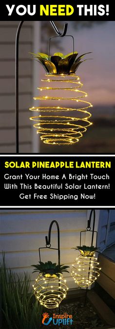 solar powered garden lights with the text you need this on it and below them is an image