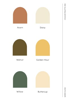 Warm sunny colour palette called Warm Glow. Made up of yellows, browns and a green. Walnut Brown Color Palette, Brown And Yellow Colour Palette, Yellow Bedroom Palette, Golden Yellow Palette, Acorn Color Palette, Lemon Yellow Palette, Yellow Colour Palette Shades, Yellow Branding Palette, Walnut Colour Palette