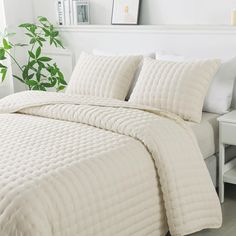 a bed with white comforters and pillows in a room next to a potted plant