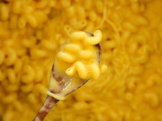 a spoon with macaroni and cheese on it