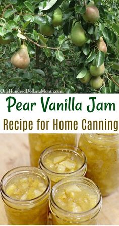 pear vanilla jam recipe for home canning