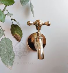 a brass faucet and green leaves on a white wall