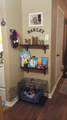 a cat is sitting in its bed on the floor next to some shelves with food