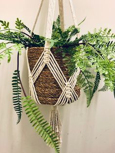 a hanging planter with plants in it