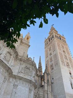 two tall buildings with clocks on each of them'sides and trees in the foreground