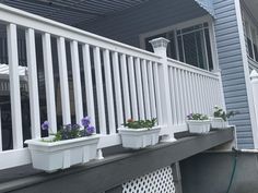 some flowers are sitting in white flower pots on the ledge of a house's front porch