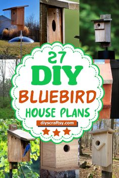 several bird houses with the words diy bluebird house plans