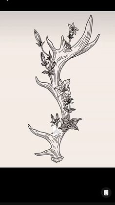 a black and white drawing of a branch with flowers